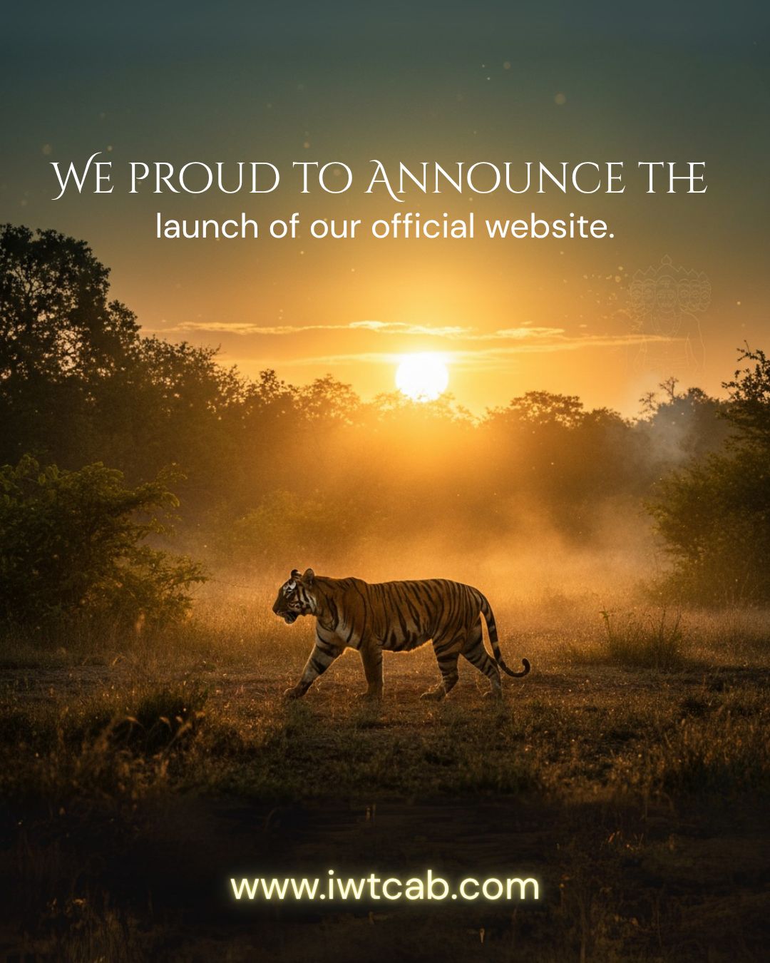 Wildlife Conservation